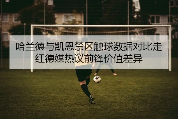 哈兰德与凯恩禁区触球数据对比走红德媒热议前锋价值差异